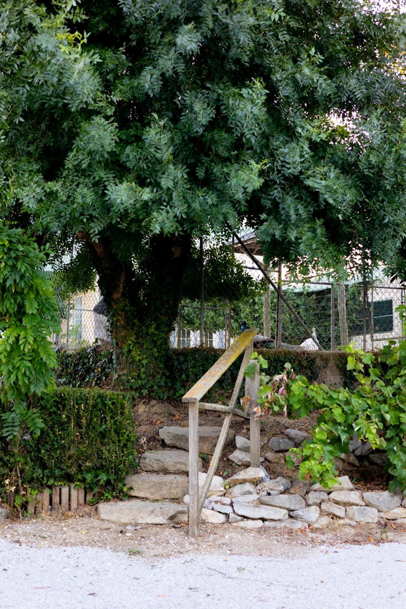 Kabaceira Village Atalaia  Exterior foto